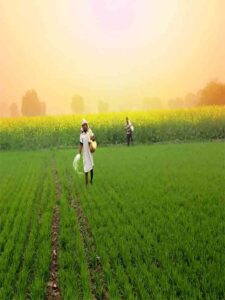 PM Kisan 15th Installment Date सिर्फ इन किसानों को मिलेगा लाभ