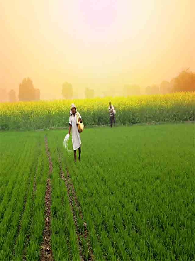 PM Kisan 17th Installment Date सिर्फ इन किसानों को मिलेगा लाभ