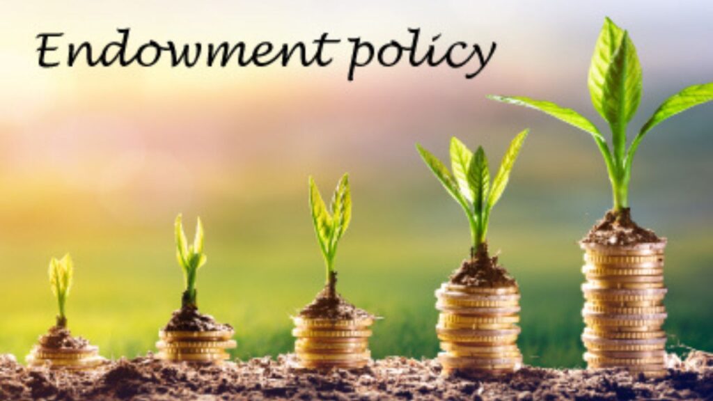 endowment plan life insurance