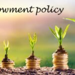 endowment plan life insurance